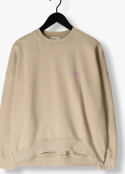 DAMES AMERICAN VINTAGE trui plizzy