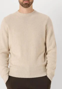 Heren FILIPPO DE LAURENTIIS trui g.collo ml lana cashmere