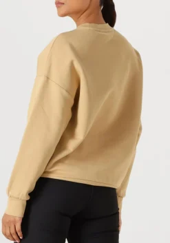 DAMES GOLDBERGH sweater alessandra crew neck sweater
