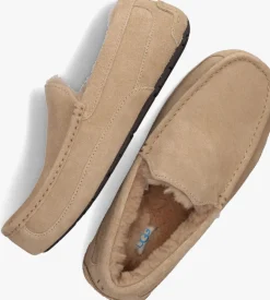 Heren UGG pantoffels ascot