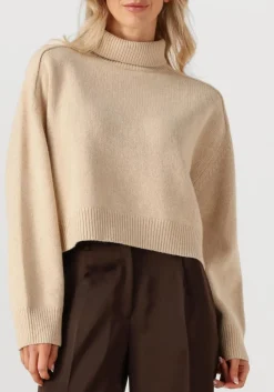 DAMES VANESSA BRUNO trui ballerine pull col montant