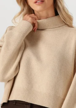 DAMES VANESSA BRUNO trui ballerine pull col montant