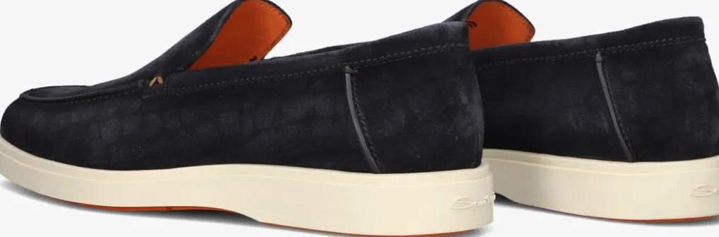 Heren SANTONI e instappers botanist