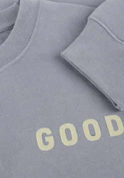 Heren THE GOODPEOPLE blauwe sweater lteddy