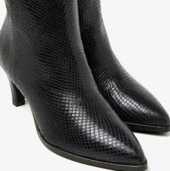 DAMES VIA VAI e enkellaarsjes lina jackson