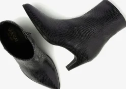 DAMES VIA VAI e enkellaarsjes lina jackson