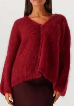 DAMES AMAYA AMSTERDAM trui roos