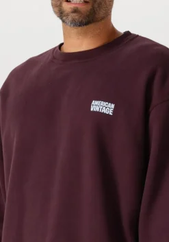 DAMES AMERICAN VINTAGE sweater plizzy 1