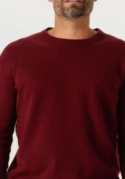 DAMES AMERICAN VINTAGE trui raxow 1