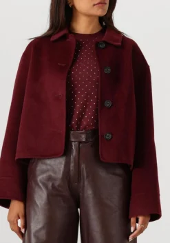 DAMES STUDIO AR teddy jas nicolina