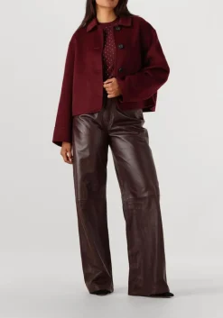 DAMES STUDIO AR teddy jas nicolina