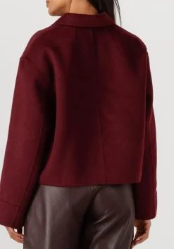 DAMES STUDIO AR teddy jas nicolina