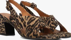 DAMES BILLI BI e slingbacks a8378