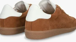 Heren BLACKSTONE e lage sneakers lime wren perf