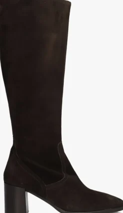 DAMES BLASZ e hoge laarzen 106