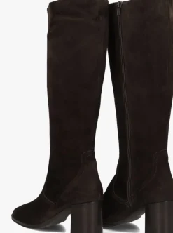 DAMES BLASZ e hoge laarzen 106