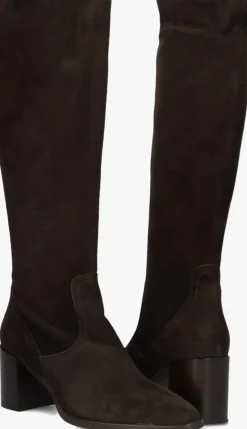 DAMES BLASZ e hoge laarzen 106