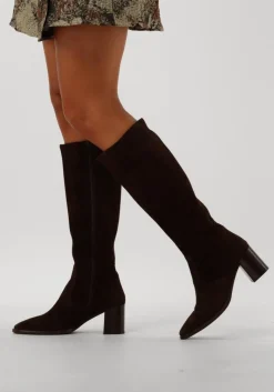 DAMES BLASZ e hoge laarzen 106