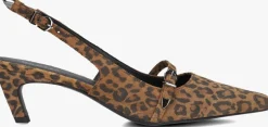 DAMES DANTE6 e slingbacks shay leopard pumps