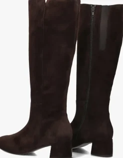 DAMES GABOR e hoge laarzen 689