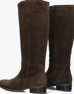 DAMES GABOR e hoge laarzen 901