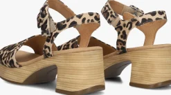 DAMES GABOR e sandalen met hak 721.1.0