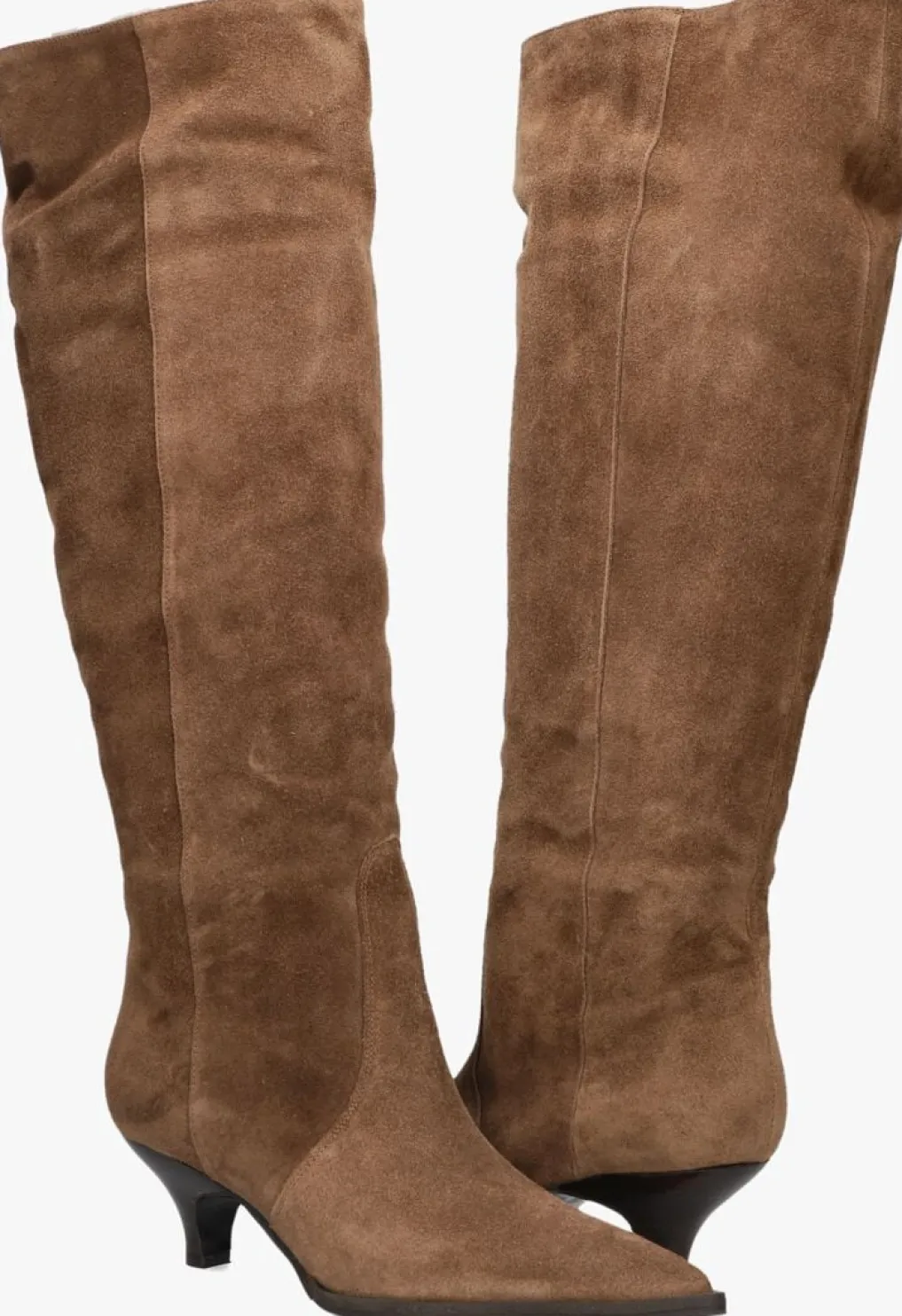 DAMES LINA LOCCHI e hoge laarzen av 256