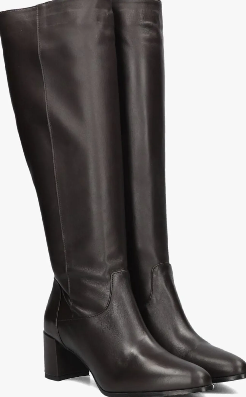 DAMES NOTRE-V e hoge laarzen 8591