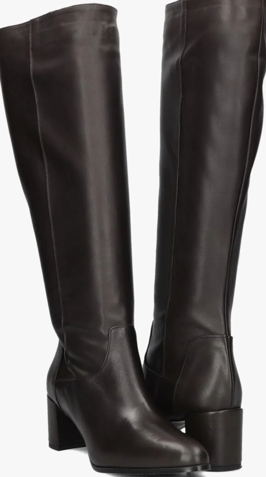 DAMES NOTRE-V e hoge laarzen 8591