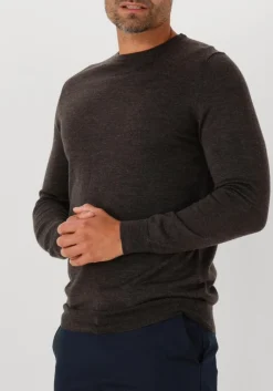 Heren PROFUOMO e trui pullover crew neck merino
