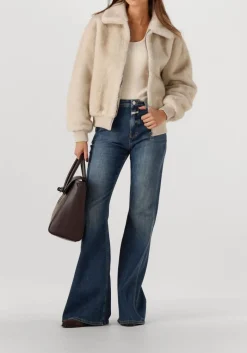 DAMES ROBERTO FESTA e enkellaarsjes kiva