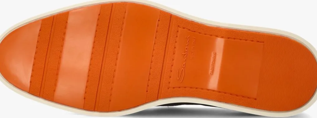 Heren SANTONI e instappers botanist