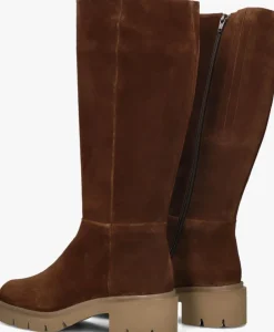 DAMES SOFTWAVES e hoge laarzen vera 06