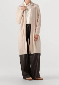 DAMES STUDIO AR e pantalon tess sheep denvey