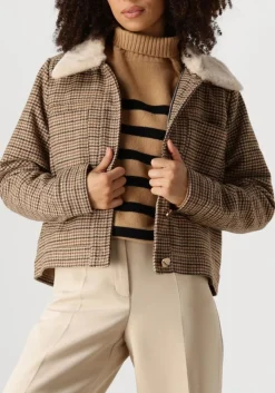 DAMES SUNCOO e jack eden