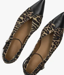 DAMES TORAL e ballerina's cristelle