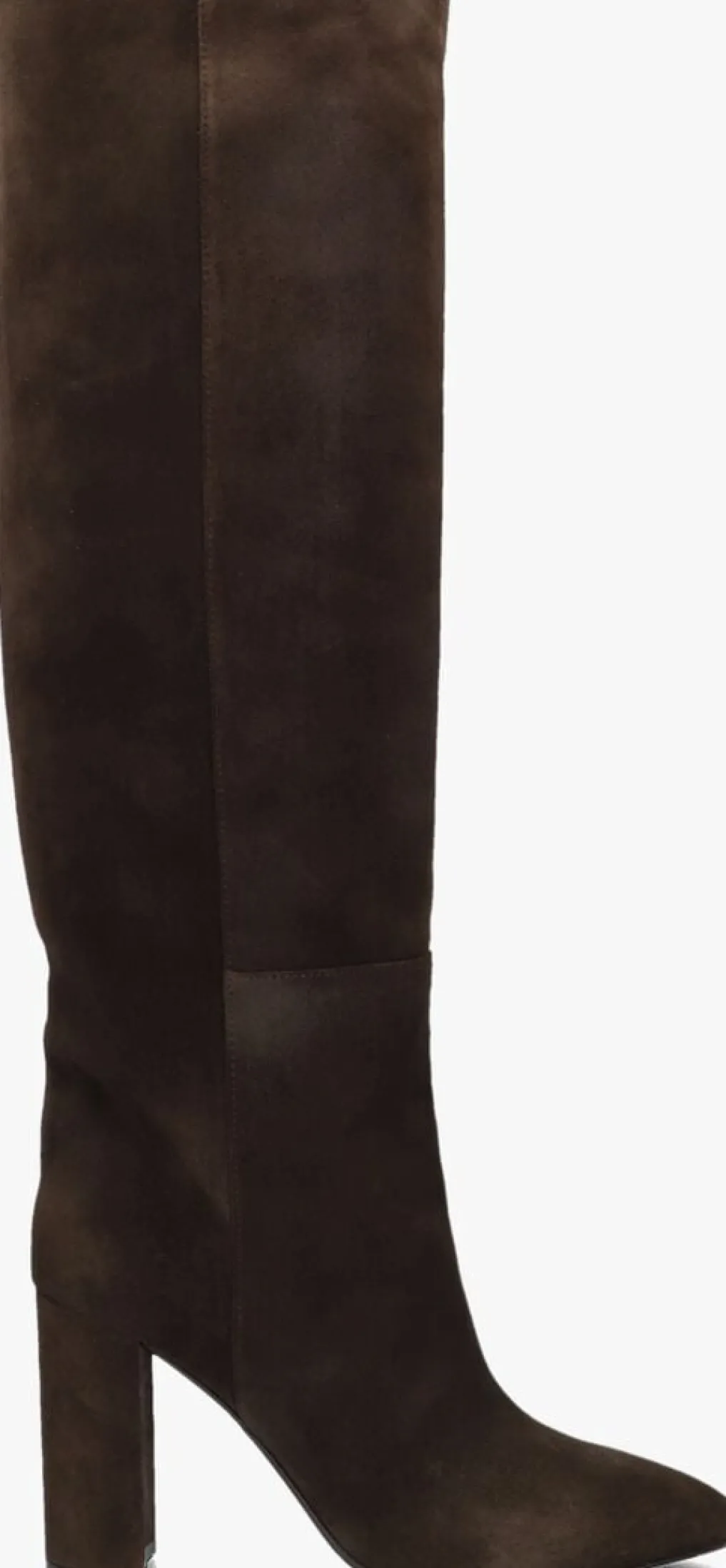 DAMES TORAL e hoge laarzen 12591