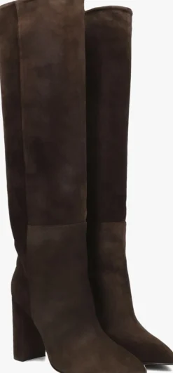 DAMES TORAL e hoge laarzen 12591