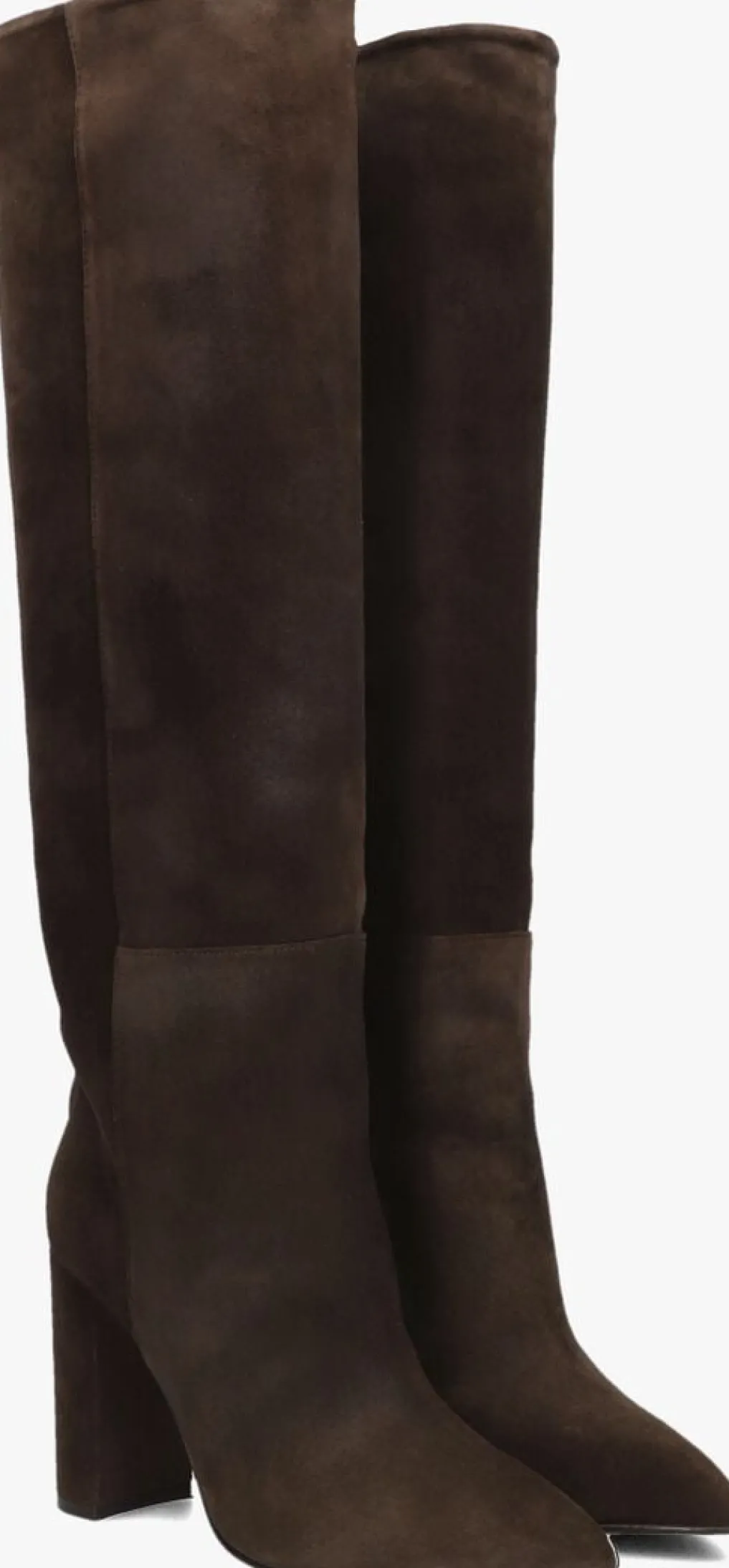 DAMES TORAL e hoge laarzen 12591