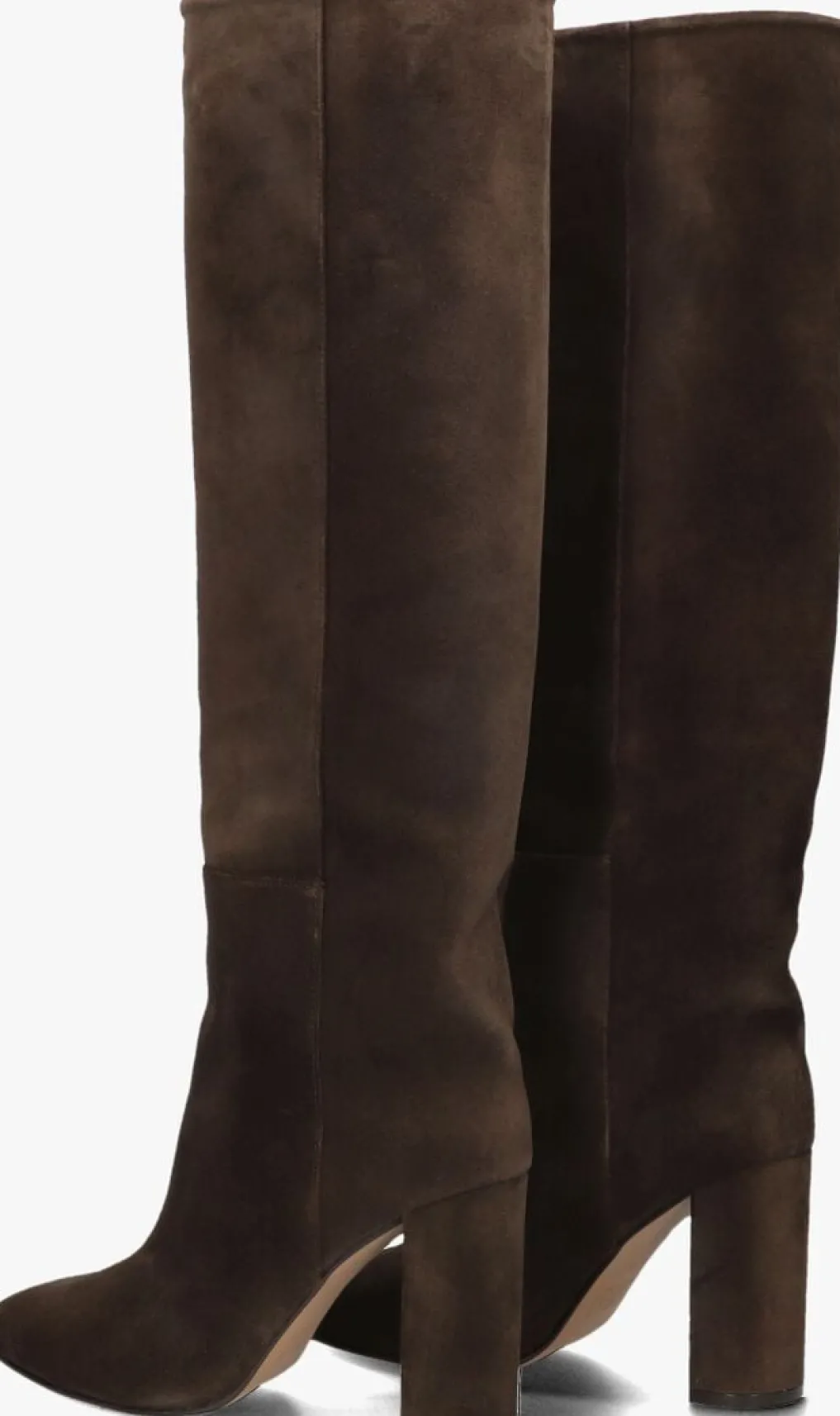 DAMES TORAL e hoge laarzen 12591