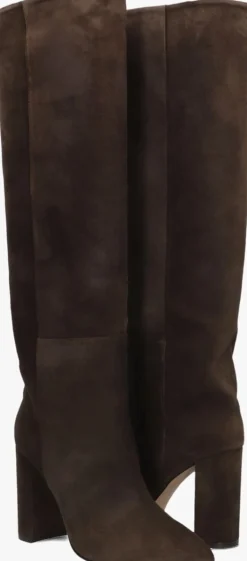 DAMES TORAL e hoge laarzen 12591