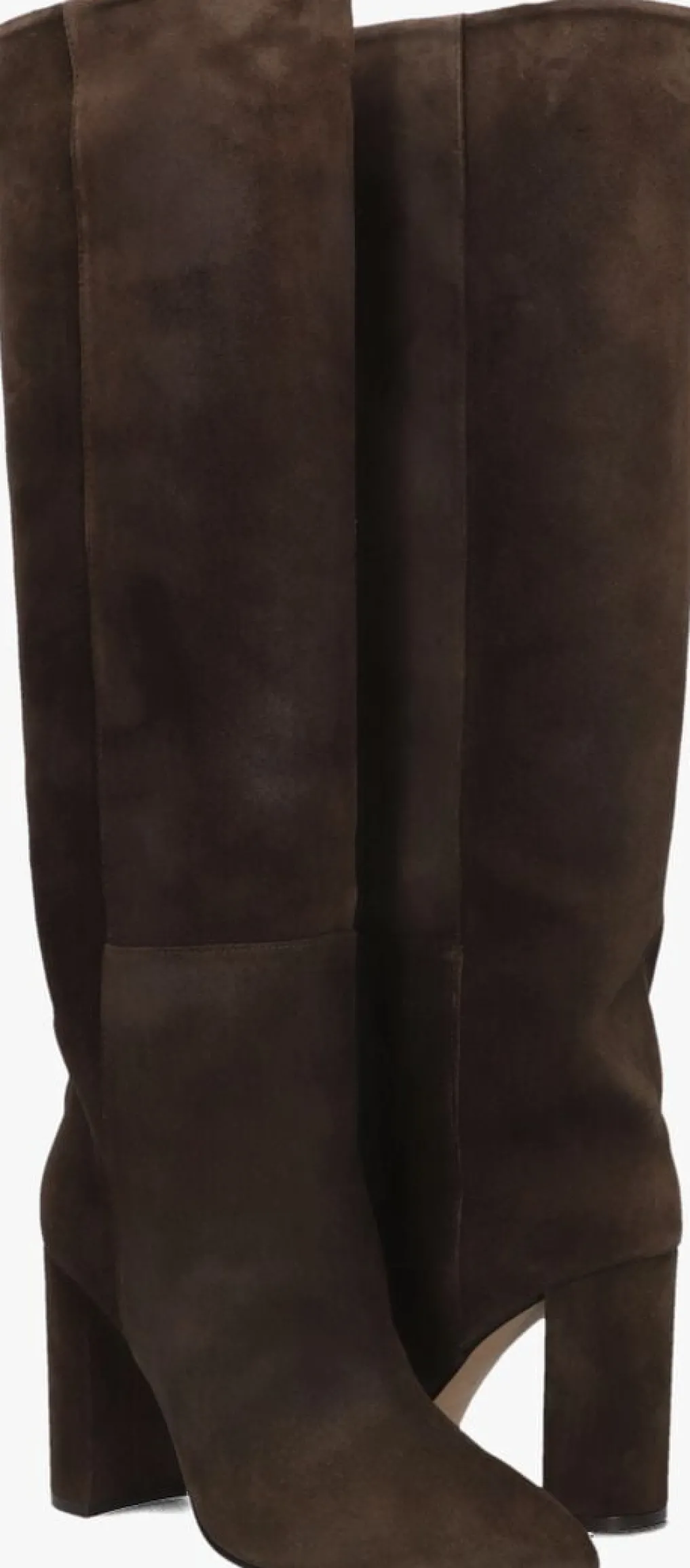 DAMES TORAL e hoge laarzen 12591