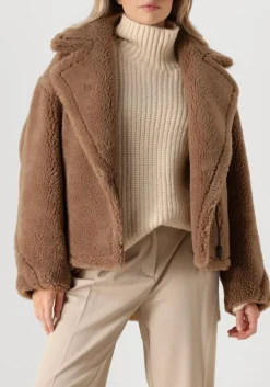 DAMES ALTER EGO teddy jas judy