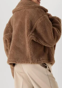 DAMES ALTER EGO teddy jas judy