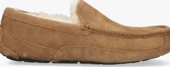 Heren UGG pantoffels ascot