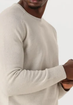 Heren STEFANO LAURAN trui crew l