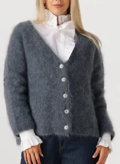 DAMES AMAYA AMSTERDAM donkergrijze vest roos knitwear