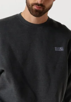 Heren AMERICAN VINTAGE donkergrijze trui doven h