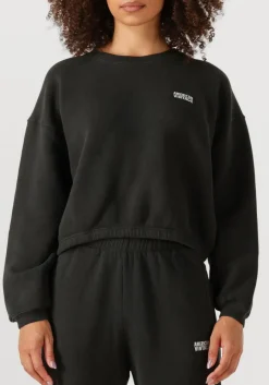 DAMES AMERICAN VINTAGE donkergrijze sweater izubird d