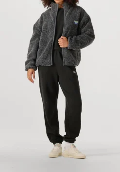 DAMES AMERICAN VINTAGE donkergrijze sweater izubird d